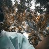 userz.elyilo