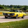 david.ksuperbee