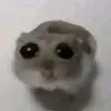 dautaymegai3