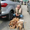 micheleodorici101