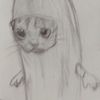 leyzi.le