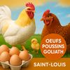Ferme Gandiol (poulet Goliath)