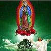 jorgeprimero367