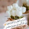 user2224719006741