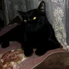 najim892_