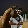 horses_lovers233