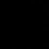 r1ii22