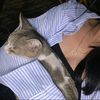 _iliveinhotpeoplesfyp_