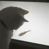 tk_09.10