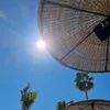 dieter_098