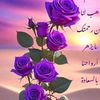 hanin199811