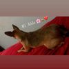 user266622777085