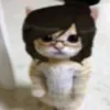 yukimikonekomihauu