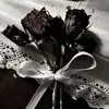 inlovedemoi