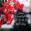 sameralabdullah83