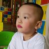 ngochung2600