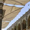 zoill_18