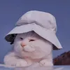 Bell