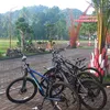 hameednd