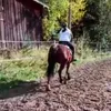 tuija_1