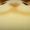 fhr_kaitosayhi