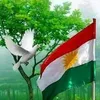 ahmedkourdo3