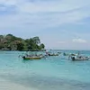 pisangambon13_