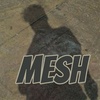 mesh_page