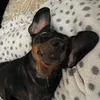 earlylrsc