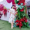 trangtran_871