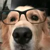 elyci_