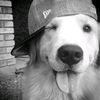 user0310199719022011