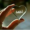 ahmedkhairy8658