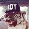 swiz_yh