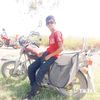 boran439
