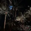 taifalkhlaif
