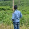 achilebadranaya21
