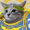 dodododada1