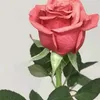 userr38jbn6epk