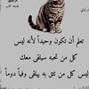 user7013610266428