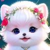 umedijaxon5086