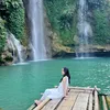 lyhaicao