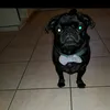 moodytrudy6