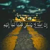 majid14283