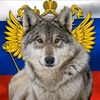 lonelywolf_190russia