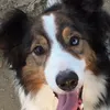 roisin900