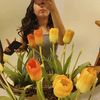 vioocampp_