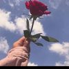shahdmahmoud5005