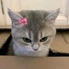 sheri.sher0