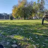 luananardelli00